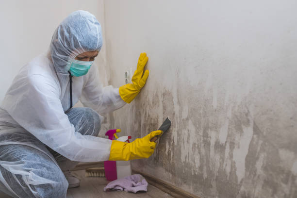 Best Crawl Space Mold Removal  in Golden, CO